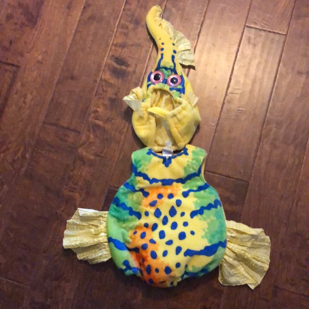 Fish Costume